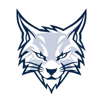 logo for Bobcat Web Design, LTD